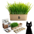 4-Batch Indoor Cat Grass Grow Kit with Containers, Soil Disks & Seeds G390