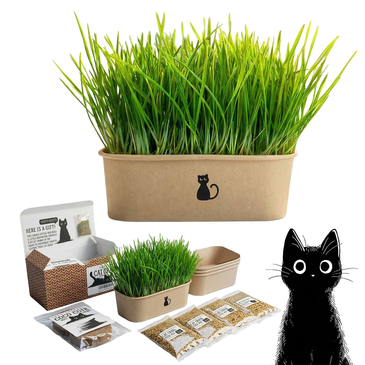 4-Batch Indoor Cat Grass Grow Kit with Containers, Soil Disks & Seeds G390