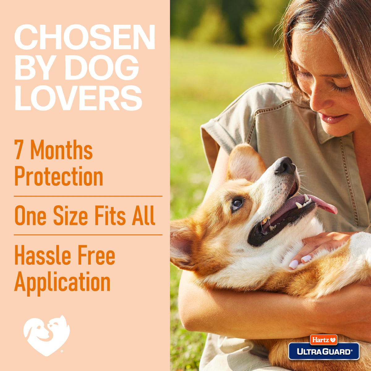 Flea & Tick Collar for Dogs and Puppies Y8435