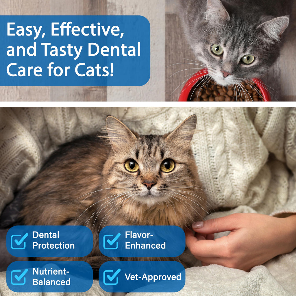 Cat Dental Powder Z6693