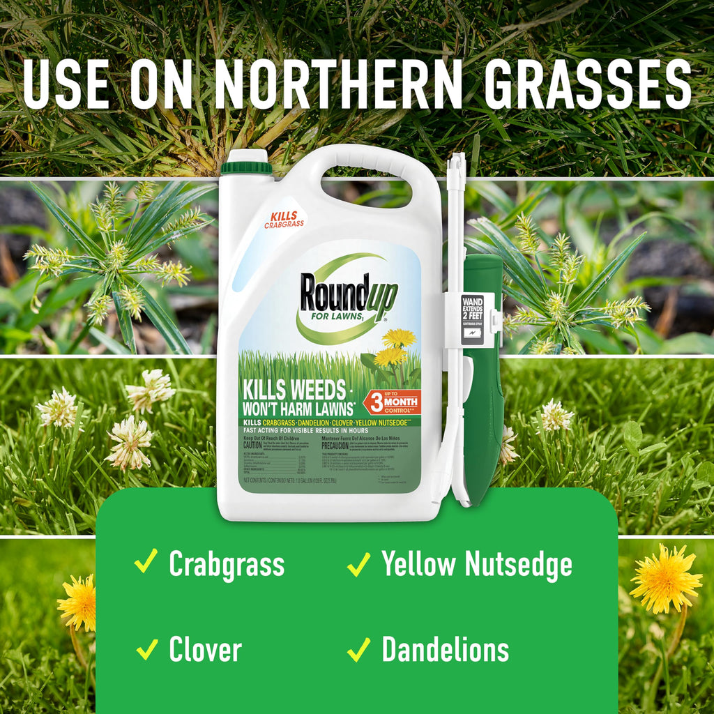Tough Weed Killer for Northern Grasses L2726