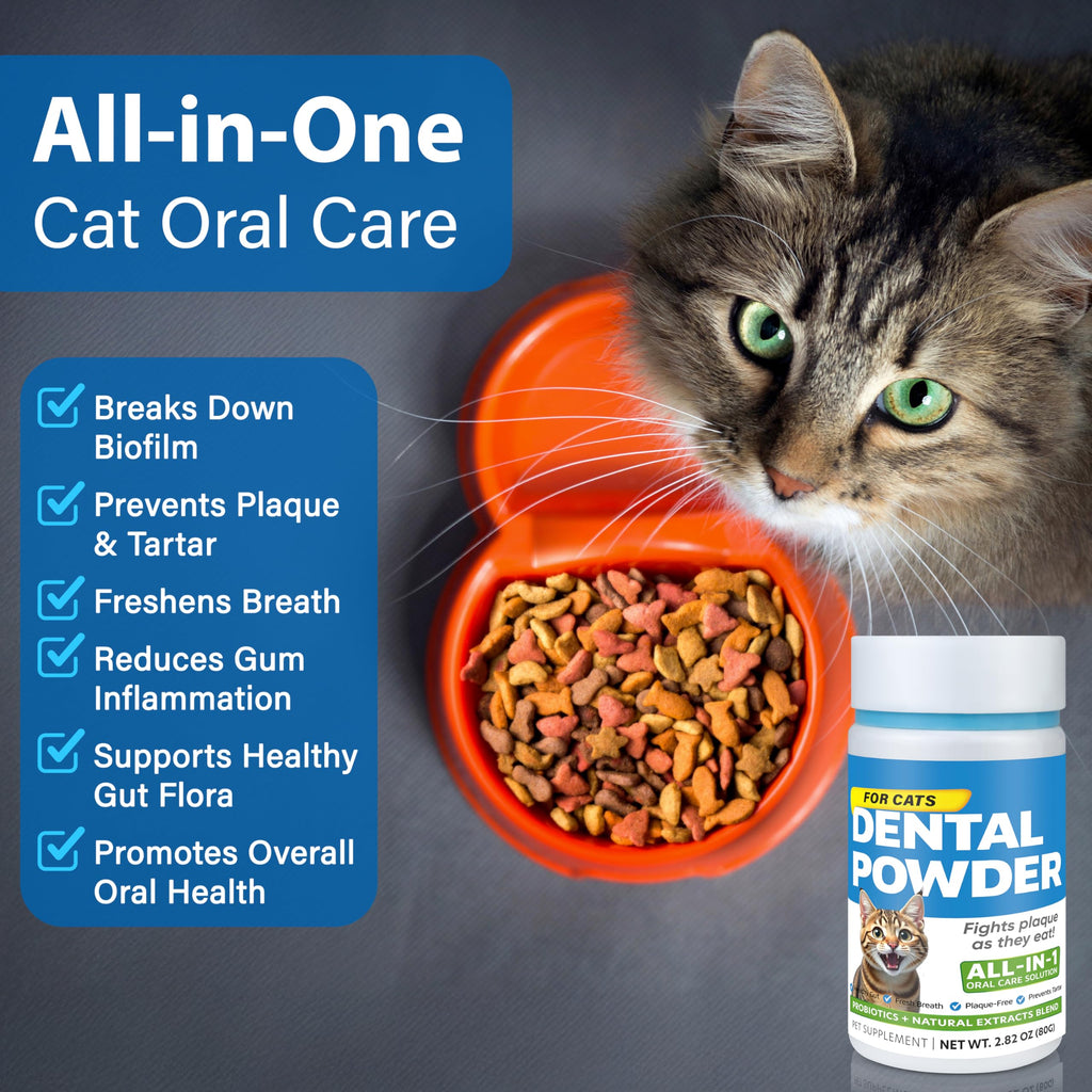 Cat Dental Powder Z6693